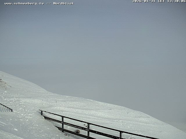 Archiv Foto Webcam Fischerhütte - Puchberg am Schneeberg