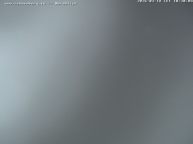 Archiv Foto Webcam Fischerhütte - Puchberg am Schneeberg