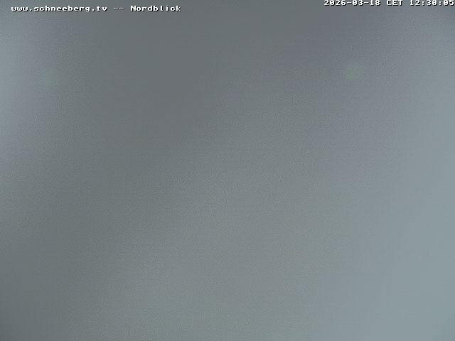 Archiv Foto Webcam Fischerhütte - Puchberg am Schneeberg