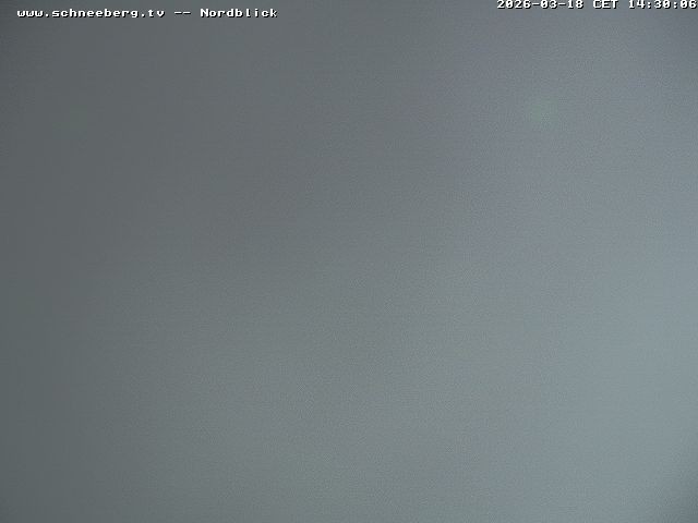 Archiv Foto Webcam Fischerhütte - Puchberg am Schneeberg