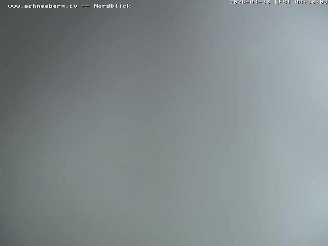 Archiv Foto Webcam Fischerhütte - Puchberg am Schneeberg