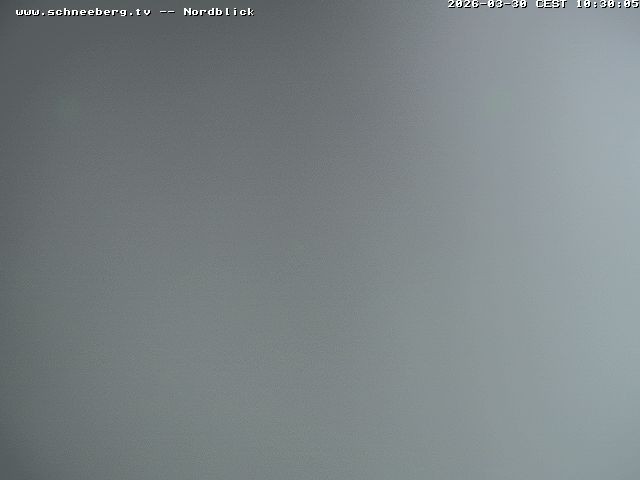 Archiv Foto Webcam Fischerhütte - Puchberg am Schneeberg