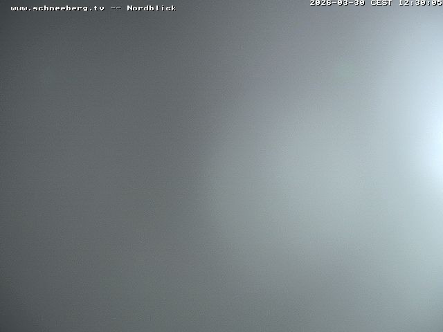 Archiv Foto Webcam Fischerhütte - Puchberg am Schneeberg