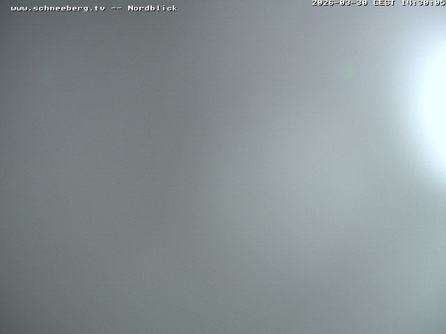 Archiv Foto Webcam Fischerhütte - Puchberg am Schneeberg