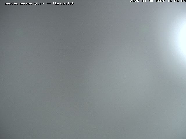 Archiv Foto Webcam Fischerhütte - Puchberg am Schneeberg