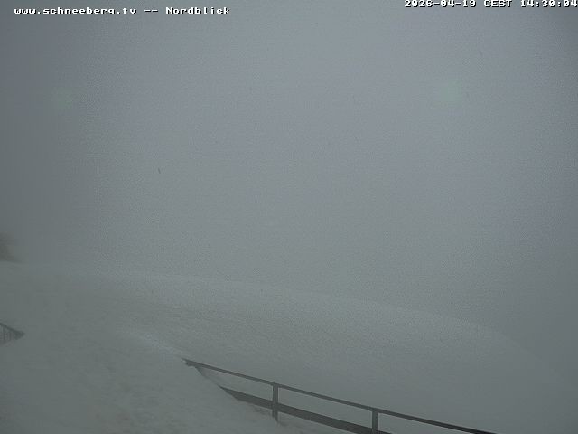 Archiv Foto Webcam Fischerhütte - Puchberg am Schneeberg