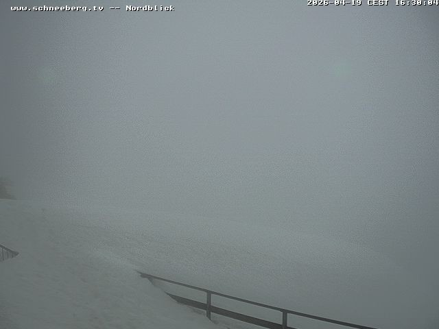 Archiv Foto Webcam Fischerhütte - Puchberg am Schneeberg
