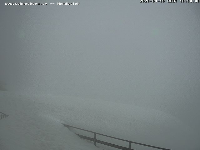 Archiv Foto Webcam Fischerhütte - Puchberg am Schneeberg