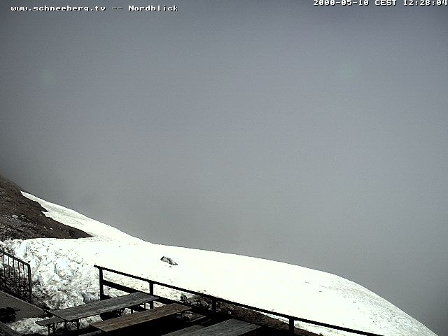 Archived image Webcam Puchberg am Schneeberg - Fischerhütte