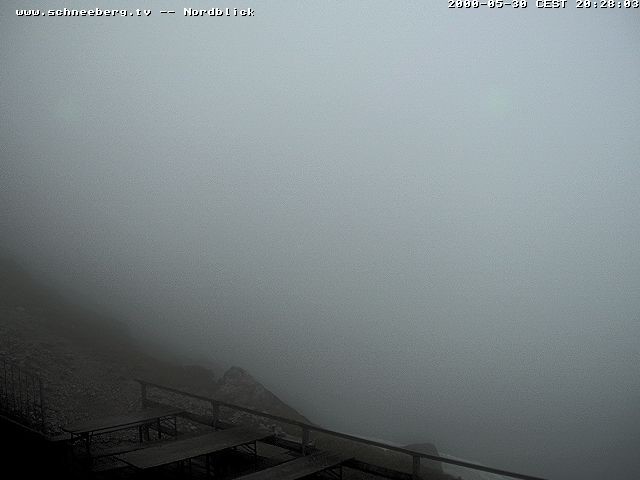 Archiv Foto Webcam Fischerhütte - Puchberg am Schneeberg