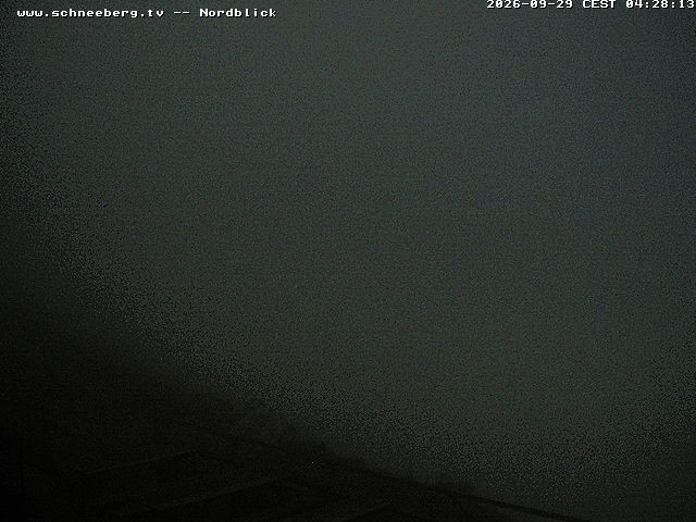Archived image Webcam Puchberg am Schneeberg - Fischerhütte