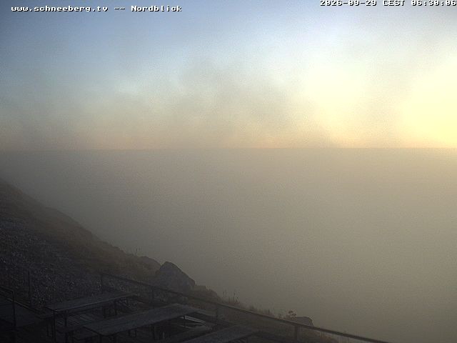Archived image Webcam Puchberg am Schneeberg - Fischerhütte