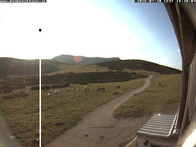 Archiv Foto Webcam Berghütte Damböckhaus