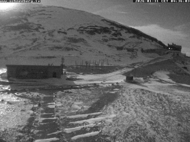 Archiv Foto Webcam Endstation Zahnradbahn Hochschneeberg