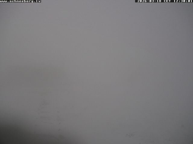 Archiv Foto Webcam Endstation Zahnradbahn Hochschneeberg