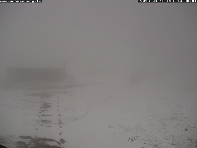 Archiv Foto Webcam Endstation Zahnradbahn Hochschneeberg