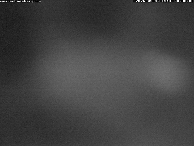 Archiv Foto Webcam Endstation Zahnradbahn Hochschneeberg