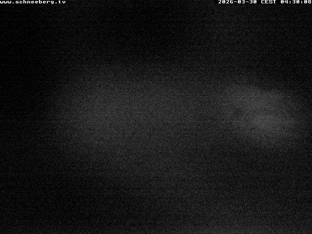 Archiv Foto Webcam Endstation Zahnradbahn Hochschneeberg