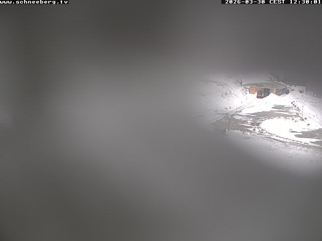 Archiv Foto Webcam Endstation Zahnradbahn Hochschneeberg