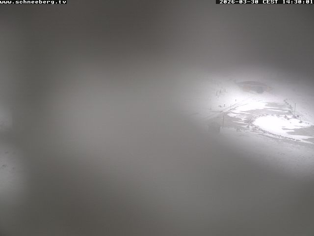 Archiv Foto Webcam Endstation Zahnradbahn Hochschneeberg