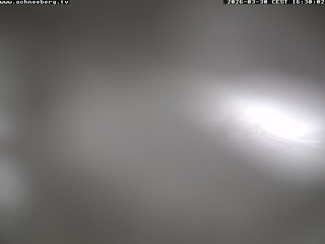 Archiv Foto Webcam Endstation Zahnradbahn Hochschneeberg
