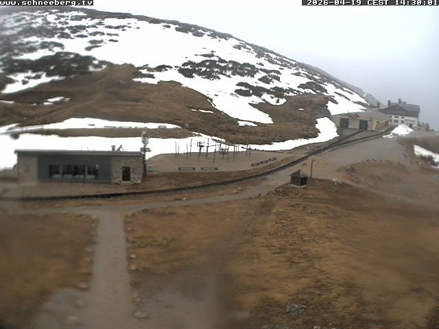 Archiv Foto Webcam Endstation Zahnradbahn Hochschneeberg