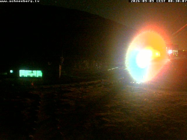 Archiv Foto Webcam Endstation Zahnradbahn Hochschneeberg