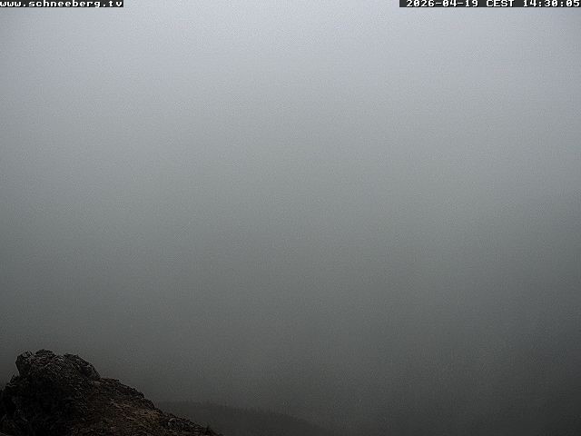 Archiv Foto Webcam Talblick Berghaus Hochschneeberg