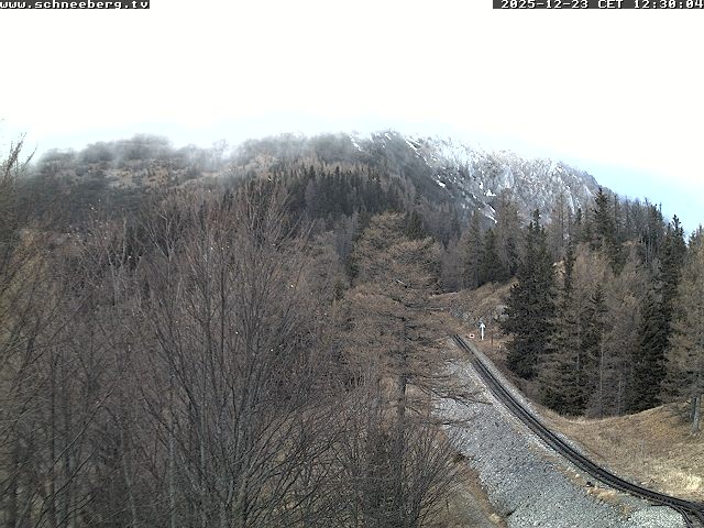 Archiv Foto Webcam Station Baumgartner Puchberg am Schneeberg