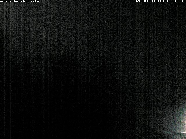 Archiv Foto Webcam Station Baumgartner Puchberg am Schneeberg