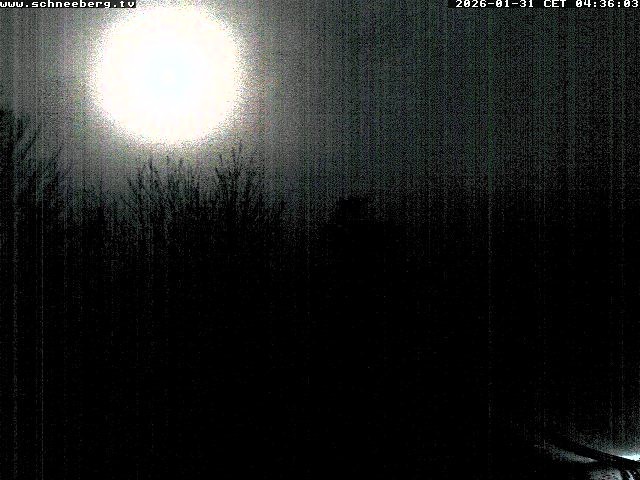 Archiv Foto Webcam Station Baumgartner Puchberg am Schneeberg