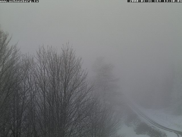 Archiv Foto Webcam Station Baumgartner Puchberg am Schneeberg