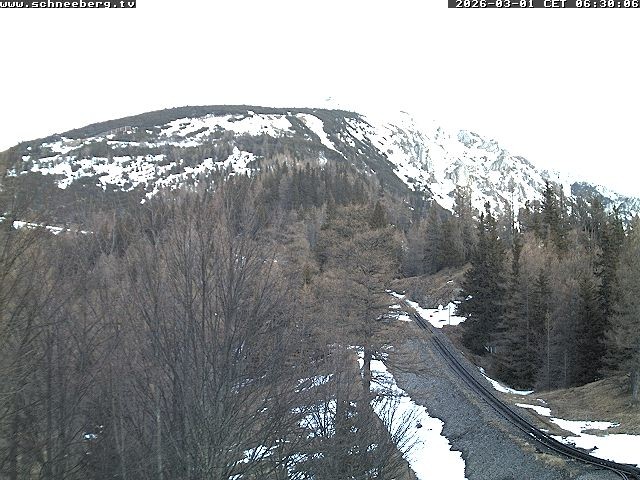 Archiv Foto Webcam Station Baumgartner Puchberg am Schneeberg