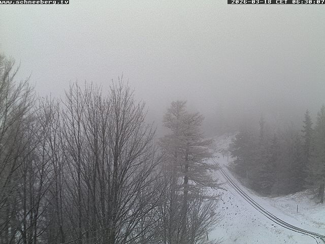 Archiv Foto Webcam Station Baumgartner Puchberg am Schneeberg