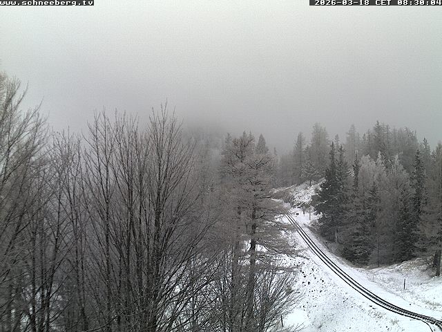 Archiv Foto Webcam Station Baumgartner Puchberg am Schneeberg