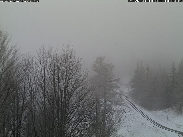 Archiv Foto Webcam Station Baumgartner Puchberg am Schneeberg