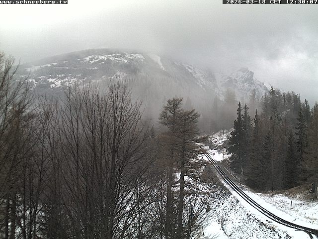 Archiv Foto Webcam Station Baumgartner Puchberg am Schneeberg