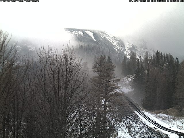 Archiv Foto Webcam Station Baumgartner Puchberg am Schneeberg