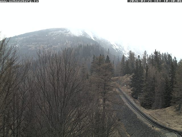 Archiv Foto Webcam Station Baumgartner Puchberg am Schneeberg