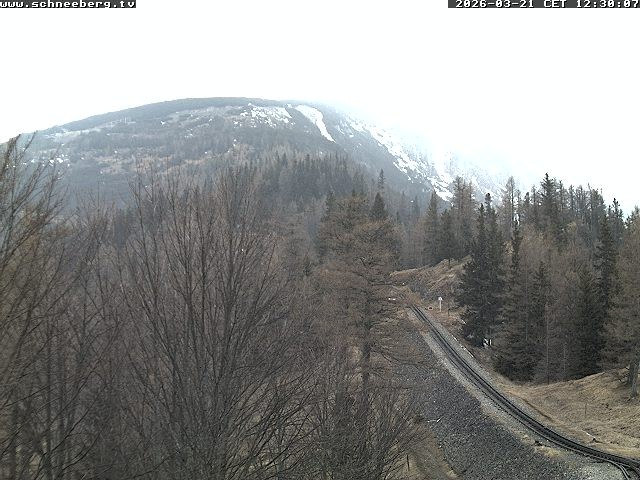 Archiv Foto Webcam Station Baumgartner Puchberg am Schneeberg