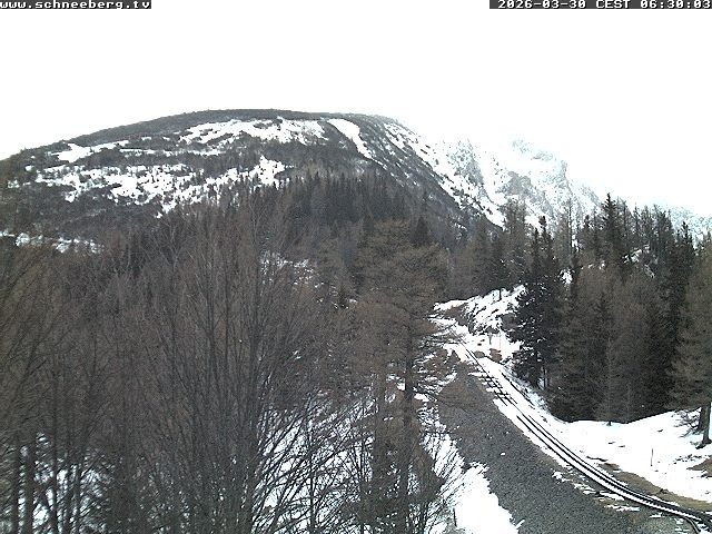 Archived image Webcam Baumgartner Station Puchberg am Schneeberg