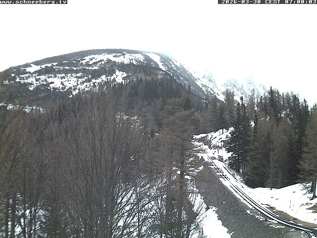 Archived image Webcam Baumgartner Station Puchberg am Schneeberg