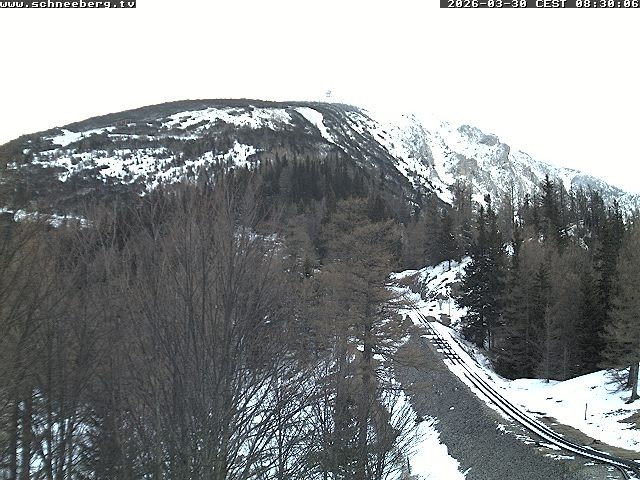 Archived image Webcam Baumgartner Station Puchberg am Schneeberg