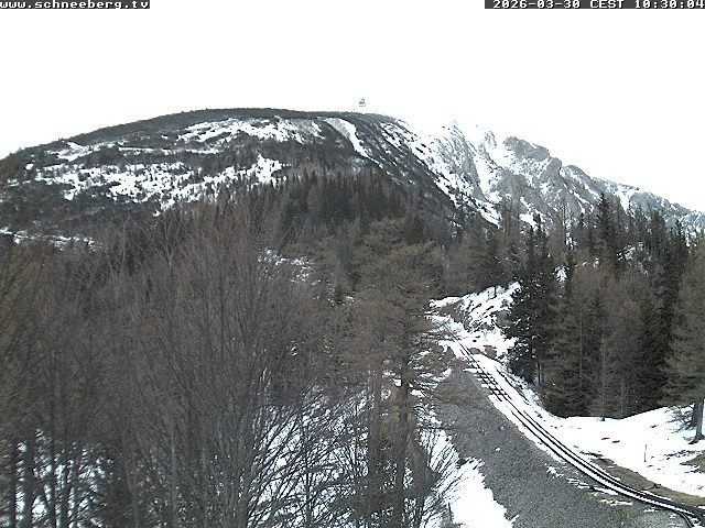 Archived image Webcam Baumgartner Station Puchberg am Schneeberg