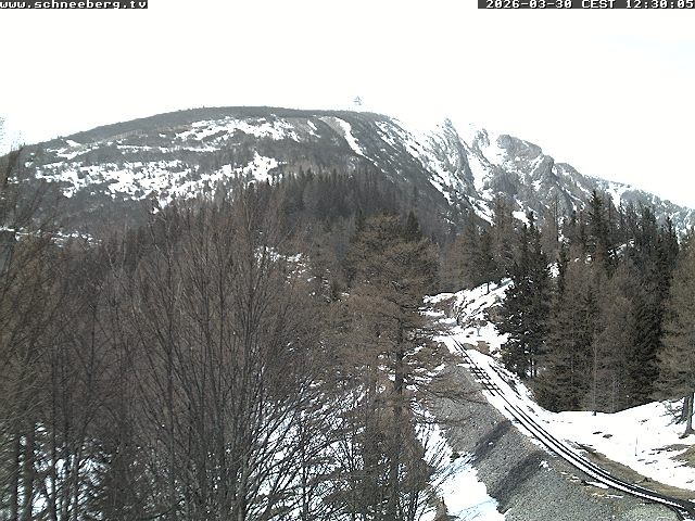 Archived image Webcam Baumgartner Station Puchberg am Schneeberg