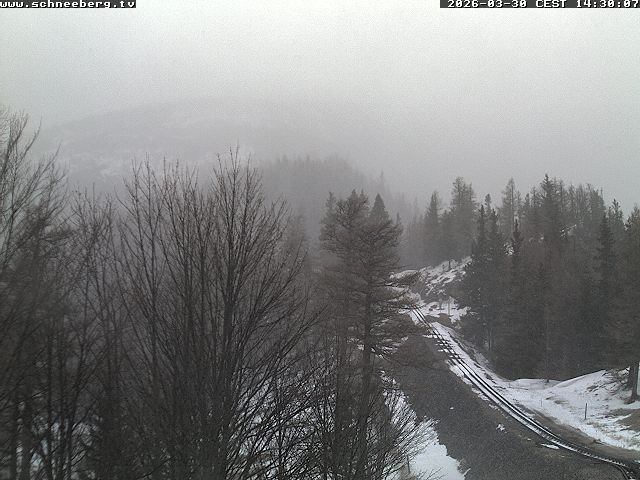 Archived image Webcam Baumgartner Station Puchberg am Schneeberg