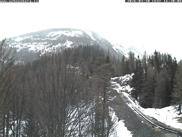 Archived image Webcam Baumgartner Station Puchberg am Schneeberg