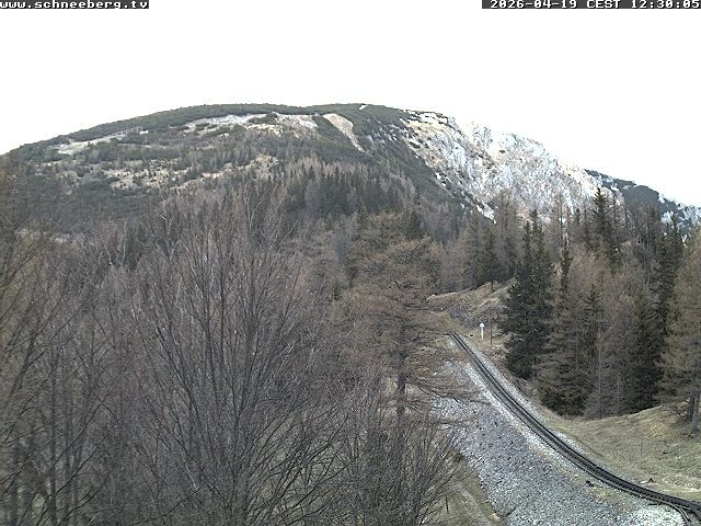 Archiv Foto Webcam Station Baumgartner Puchberg am Schneeberg