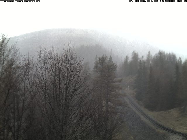 Archiv Foto Webcam Station Baumgartner Puchberg am Schneeberg