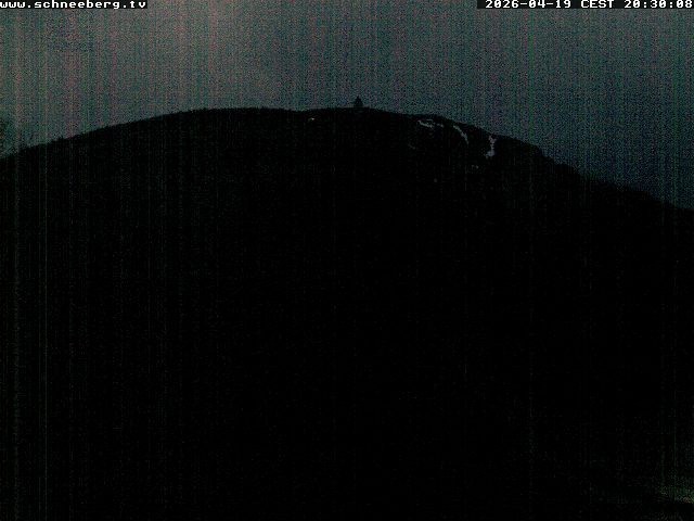 Archiv Foto Webcam Station Baumgartner Puchberg am Schneeberg